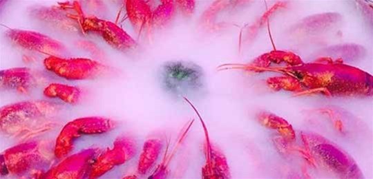 如何選擇山西高純氣體管道配管及附件材料？